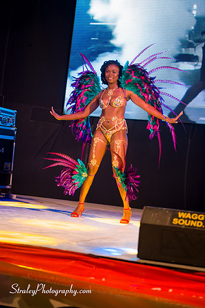 Spicemas 2018 Launch - 2018 04 07 - 0604