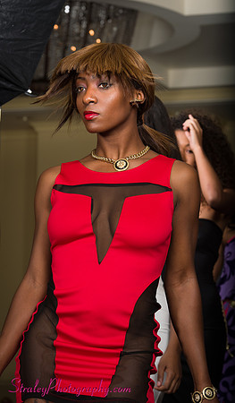 Arlenes Gowns Runway 2013 03 10 - 0429