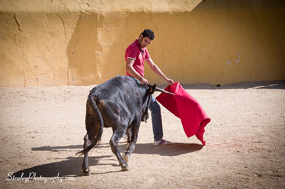 Seville 2013 10 10 - 0321
