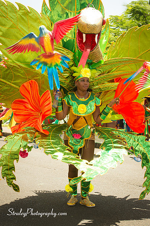 Parade of the Bands 2016 08 08 - 0124