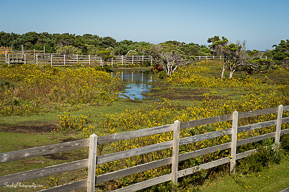 Ocracoke Island - 2014 10 17 - 0007
