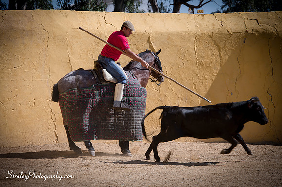 Seville 2013 10 10 - 0178