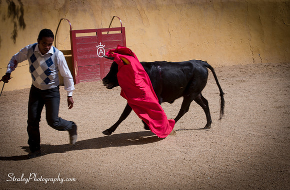 Seville 2013 10 10 - 0262