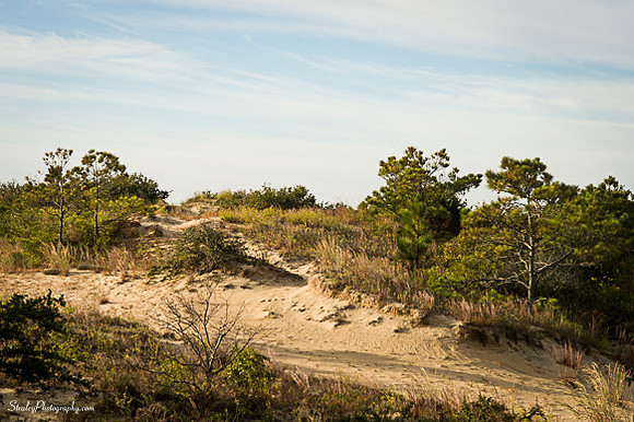 Jockeys Ridge  - 2014 10 24 - 0083