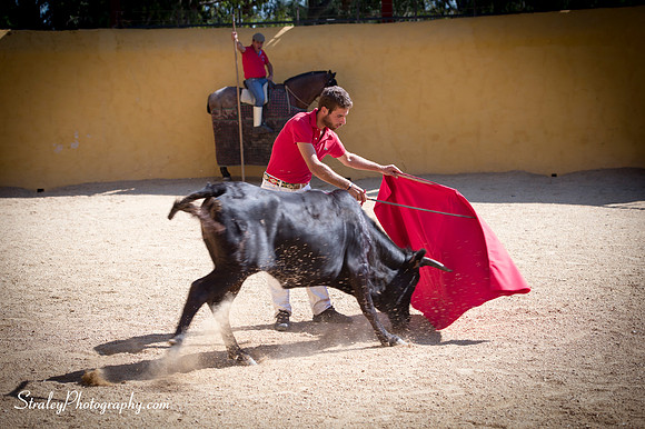 Seville 2013 10 10 - 0337