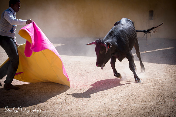 Seville 2013 10 10 - 0213