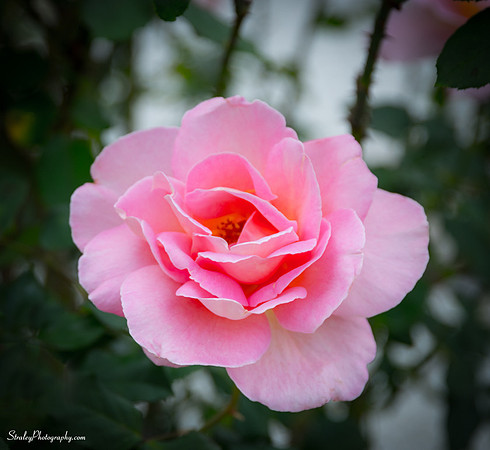 Ringling Museum 2014 12 07 - 0098-Edit