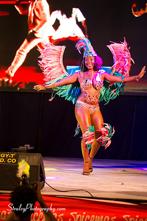 Spicemas 2018 Launch - 2018 04 07 - 0613